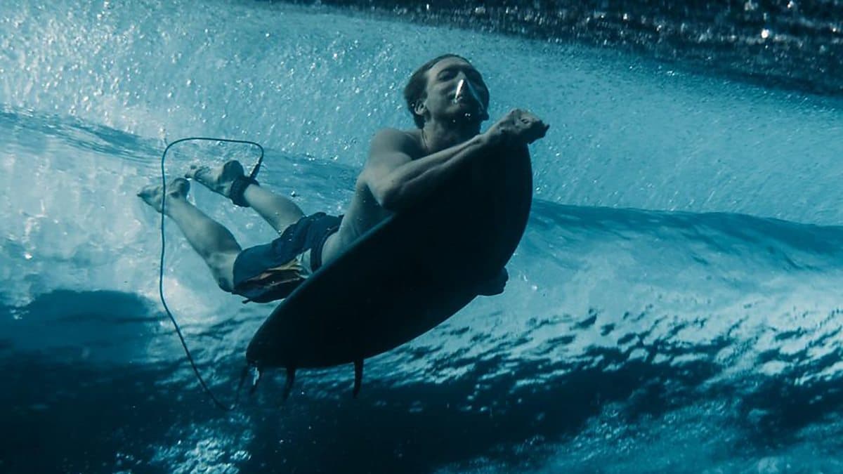 Surviving a shark attack